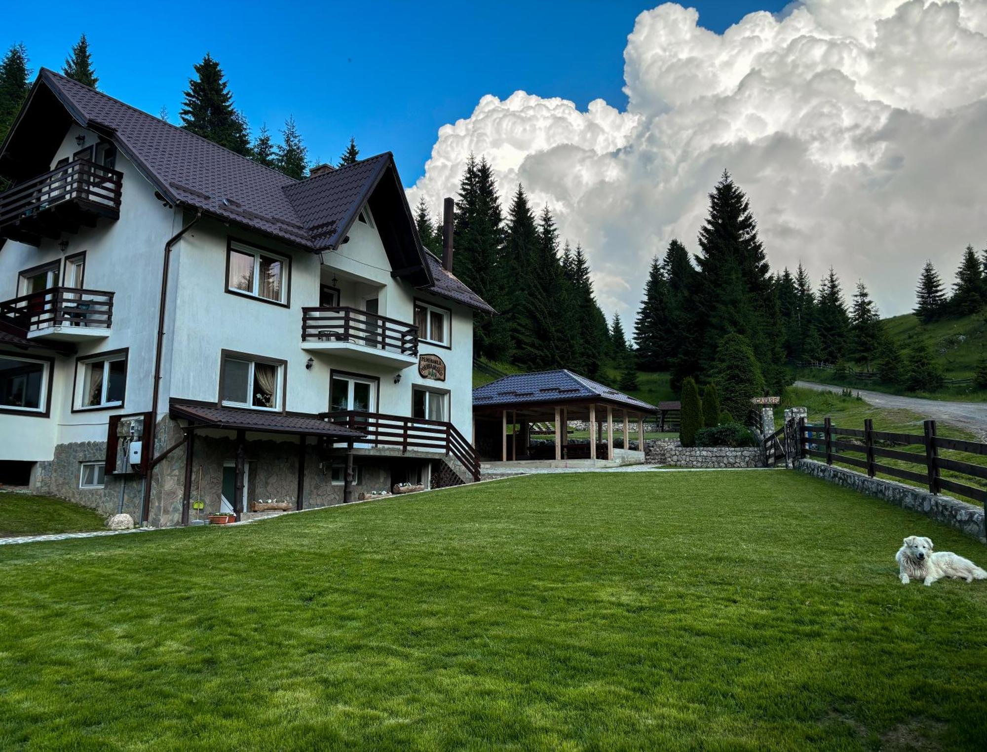 Pensiunea Poienita Ursului Fundata Exterior foto
